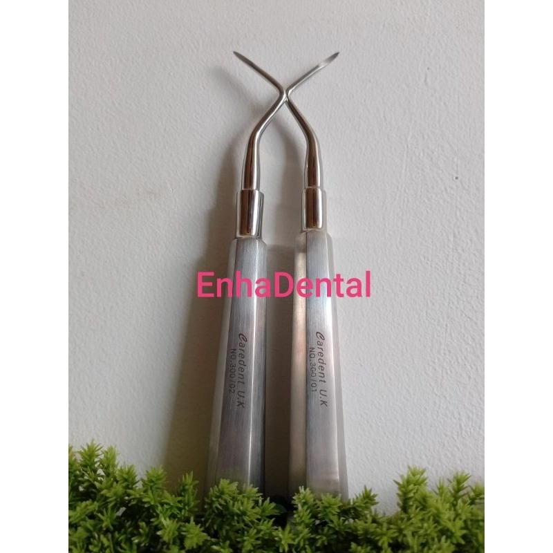 Bein Bengkok Caredent/bein bengkok kanan kiri/root elevator dental/