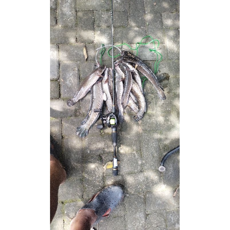 relix Nusantara capung 662Bc