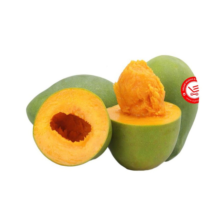 Buah Mangga Alpukat Klonal 21 Asli Bangil (isi bersih 900gr - 1100gr)