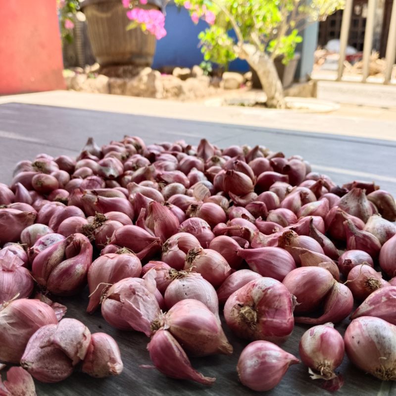 

BAWANG MERAH LOKAL 1KG
