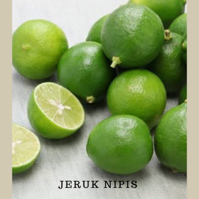 

Jeruk Nipis 100 gram Fresh Fruit Vegetables