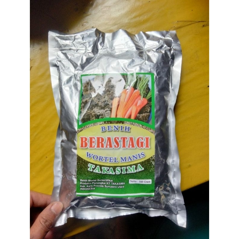 bibit wortel berastagi