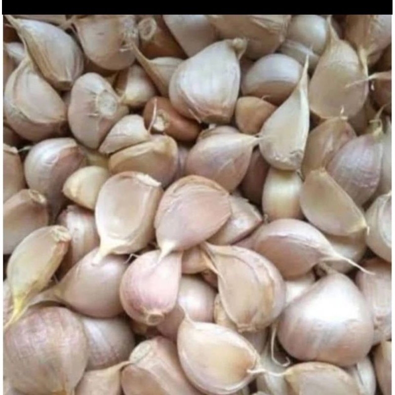 

bawang putih kating bersih 250 gram