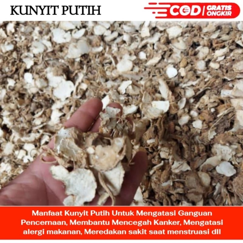 

Kunyit Putih Kering 100gr - Kunir Putih Asli Original - Temu Putih Kualitas Bagus