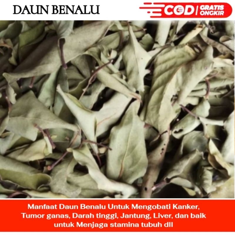 

Daun benalu kering 1kg