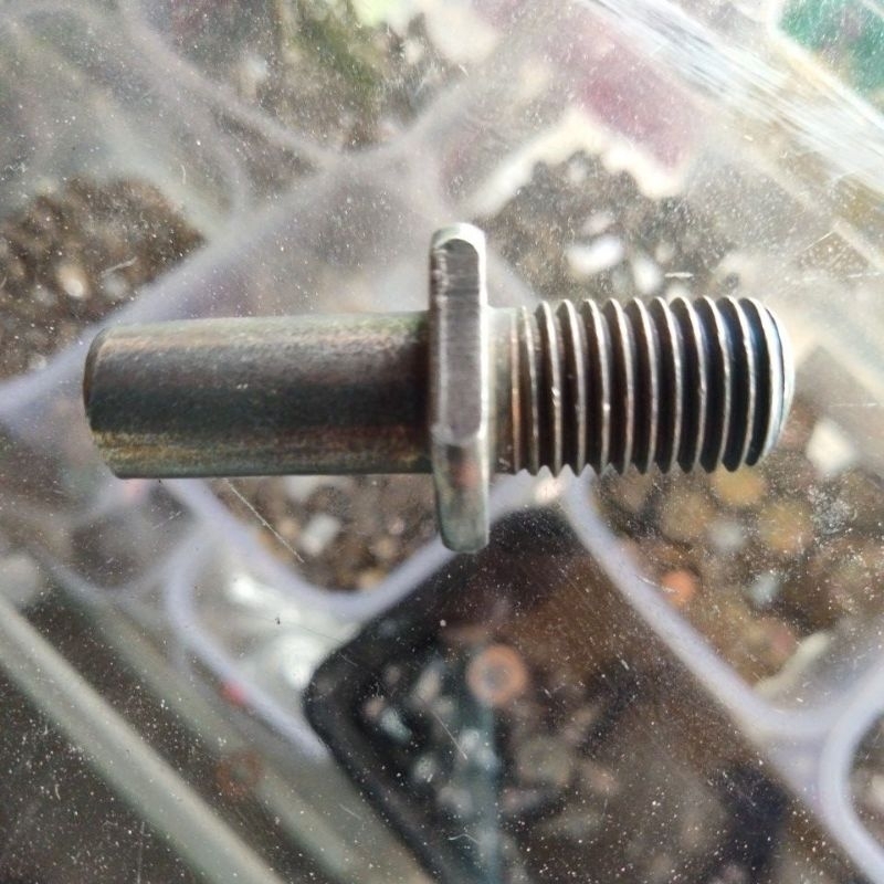 BAUT GEAR GL
