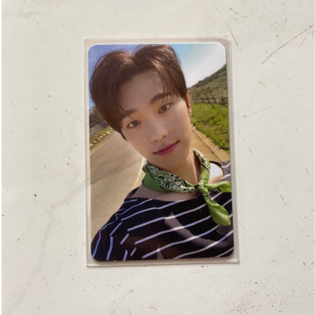 Pc Official Seventeen Henggarae Dino