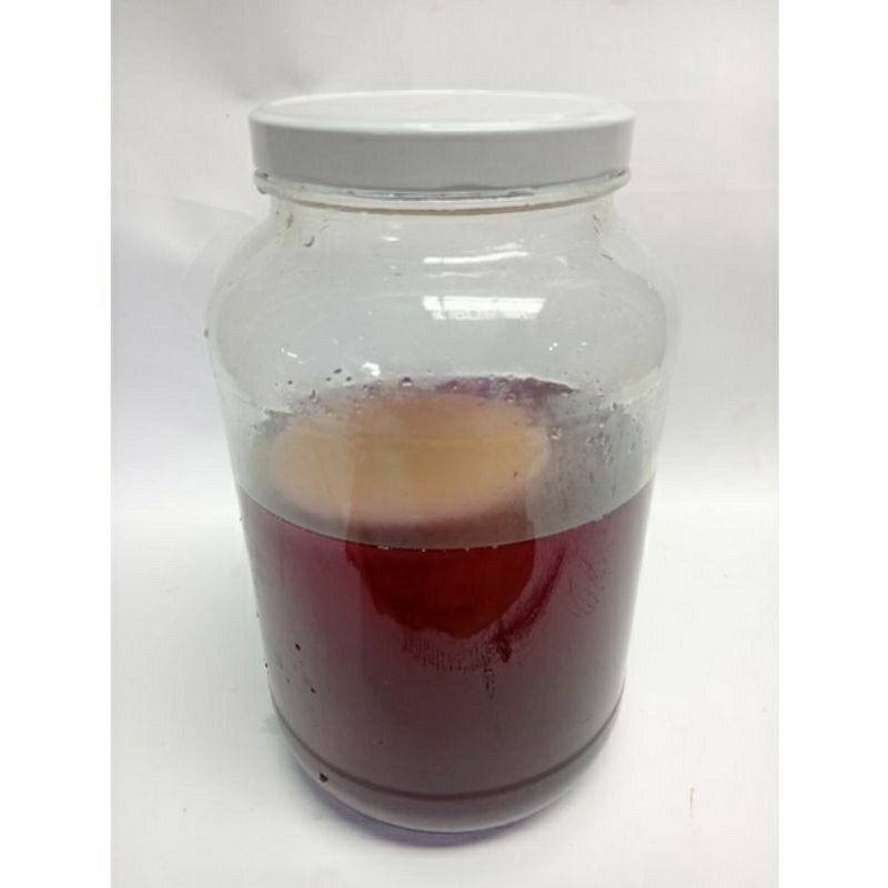 

konbucha original 250 ml