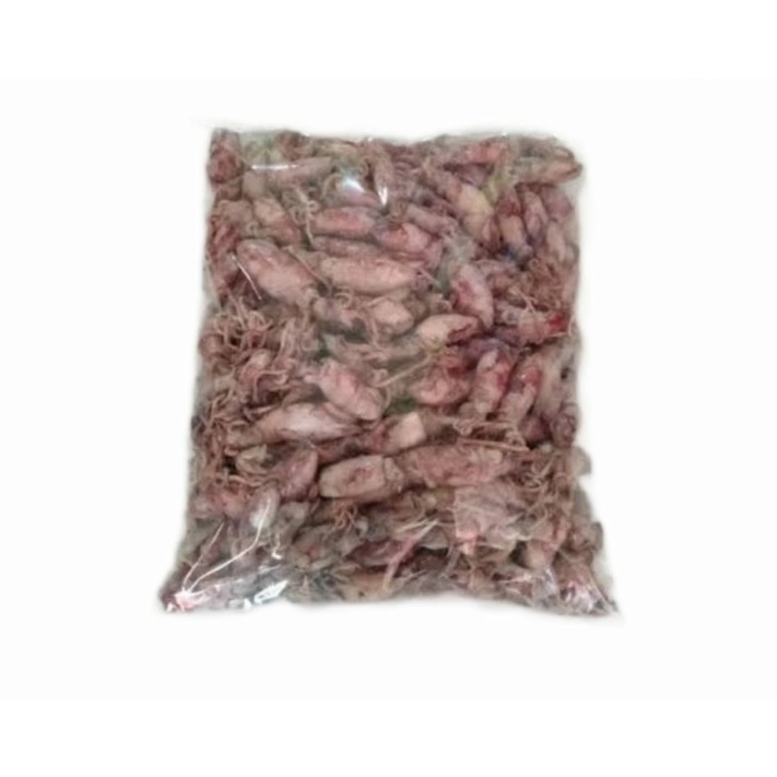 

ikan Cumi asin 100 gram