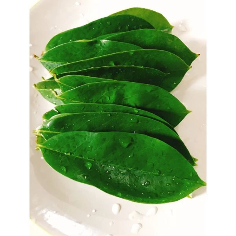 

daun sirsak segar 100gram