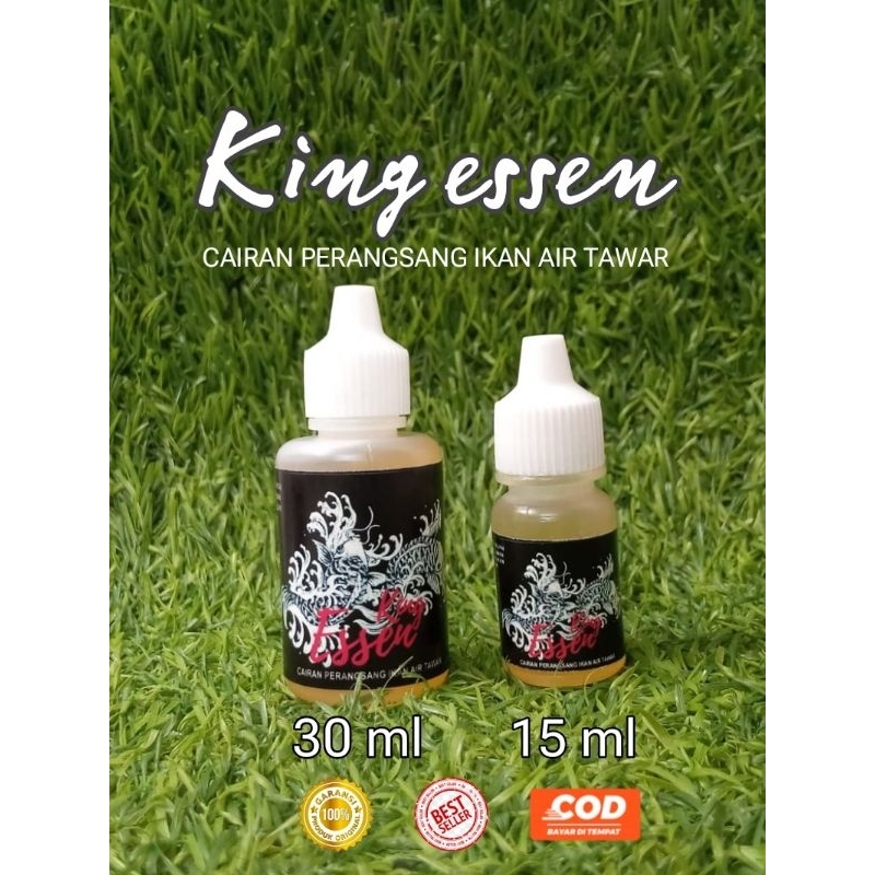 KING ESSEN/ESSEN IKAN MAS / essen galapung ikan mas