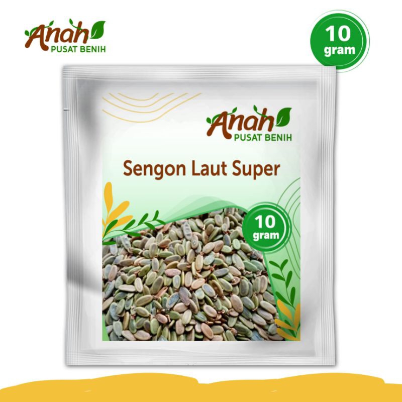 Benih sengon laut super 10 gram / bibit pohon sengon laut