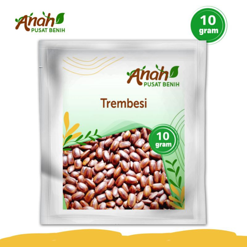 Benih trembesi 10 gram / bibit trembesi
