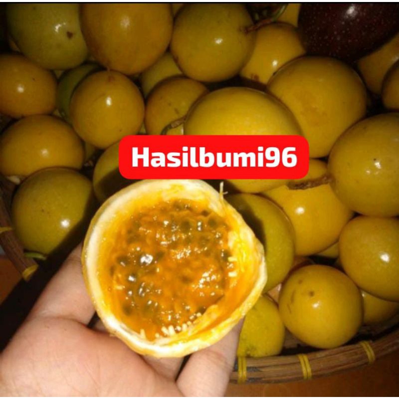 

BUAH MARKISA SEGAR 1KG