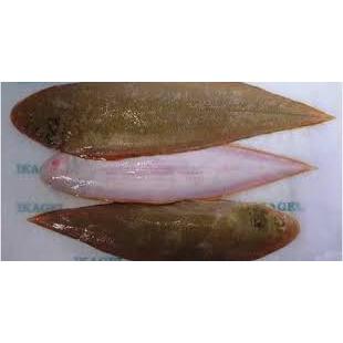 

IKAN LIDAH SEGAR _ 500gr