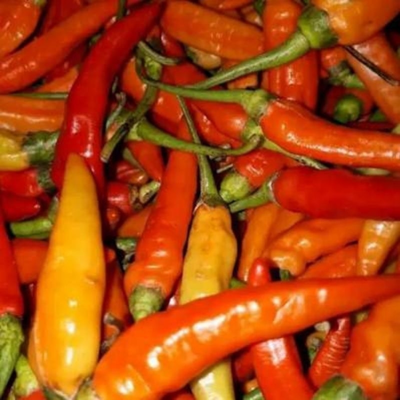 

[KIRIM INSTAN] Cabe Rawit Merah / Cabai Merah 250gr