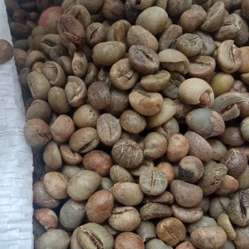 

Biji Kopi Robusta Gunung Arjuno Budug Asu grade 7mm
