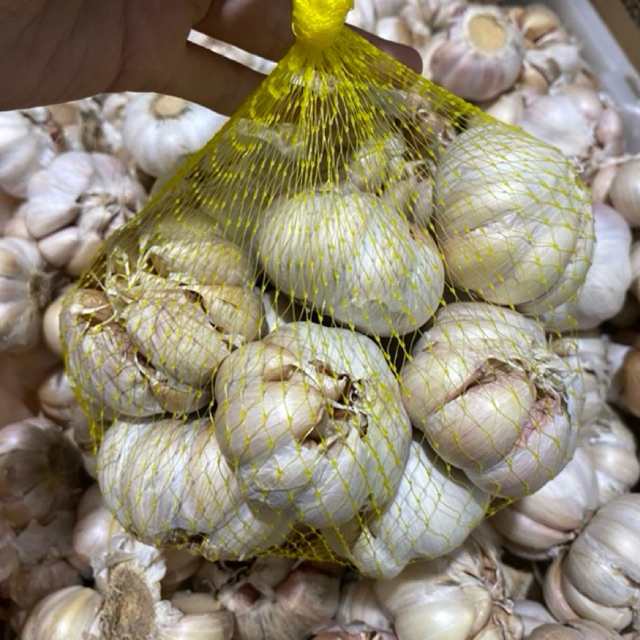 

Bawang Putih 1 Kg Grosir