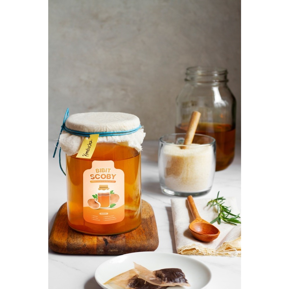 

Bibit Scoby Jamur Teh Kombucha + Starter Kombuchan"s Big Size