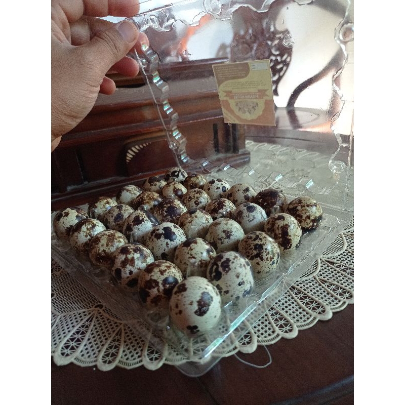 

Telur Puyuh PREMIUM QUALITY