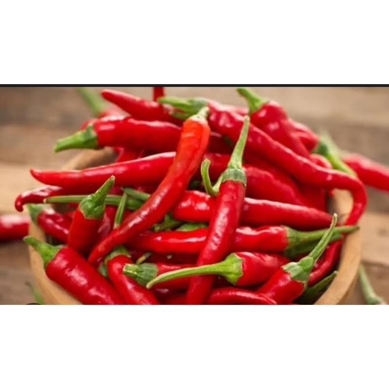 

Lombok keriting/Lombok merah