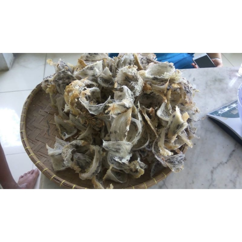 

Jual Sarang Burung Walet