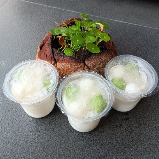 

RB Coconut Jelly Cup Es Kelapa Jelly