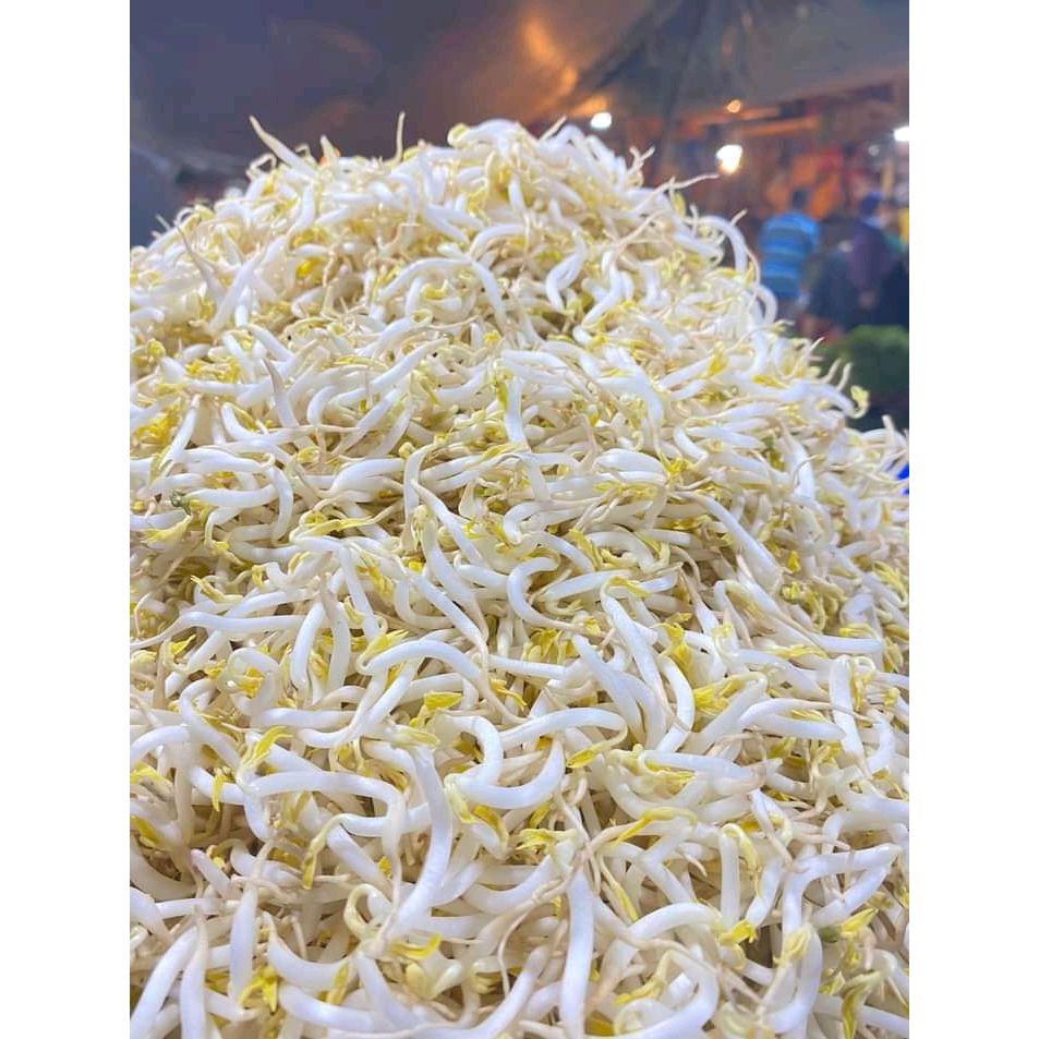 

SAYUR TOGE SEGAR _ 100gr