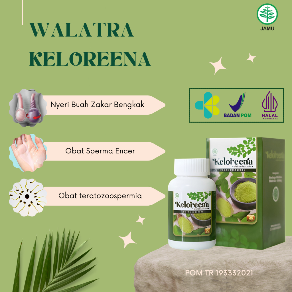 Keloreena Obat teratozoospermia, Obat Sperma Encer, Obat Spermatokel, Obat Sperma Berdarah, Obat Spe