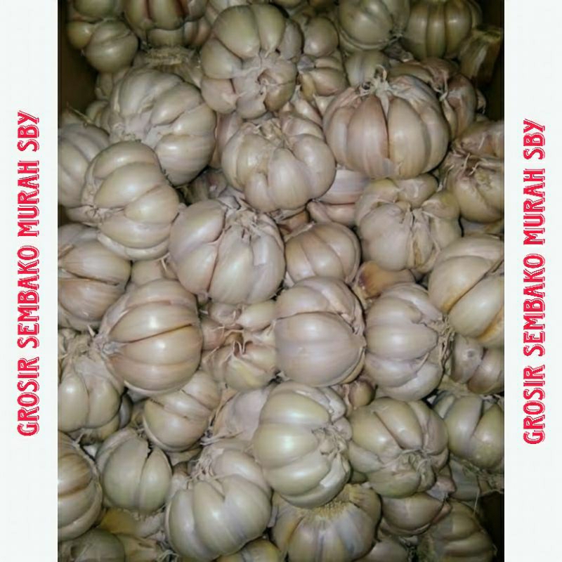 

BAWANG PUTIH 1/2 KG