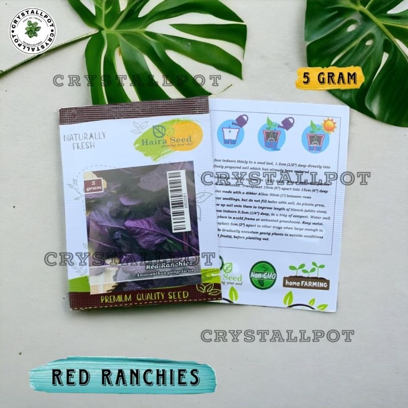 Benih Bibit Bayam Merah Red Ranchies Haira Seed - BAYAM MERAH RED RANCHIES