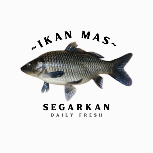 

Ikan Mas Segar Fresh Hidup 1kg