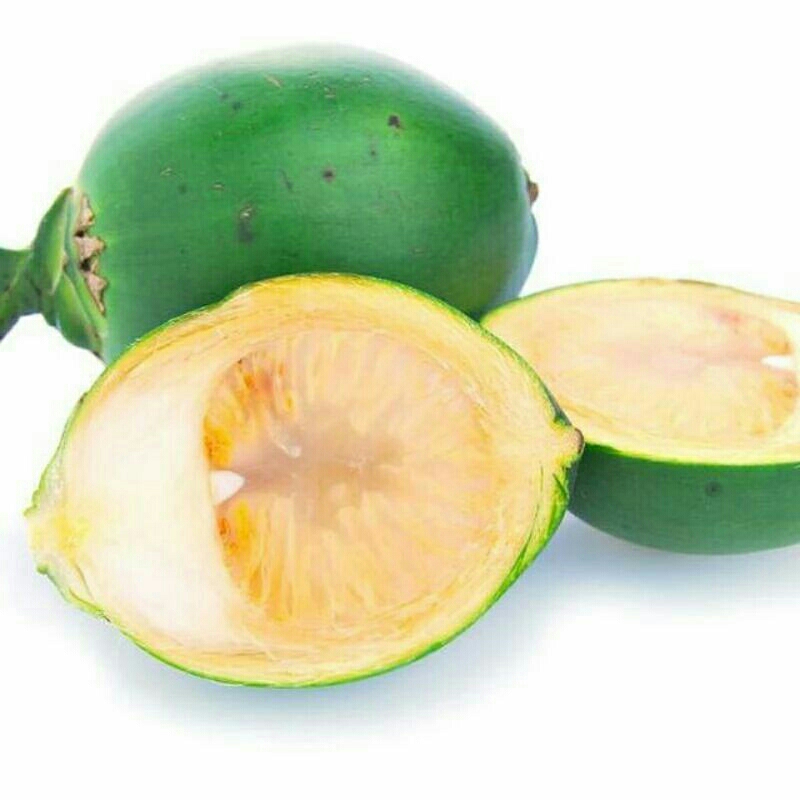 

Buah pinang segar per 1kg