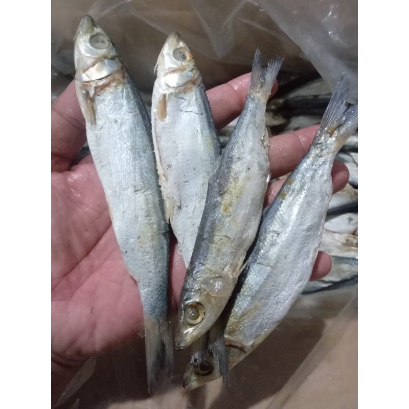 

ikan asin japuh ketan murah 100 gram