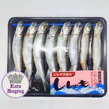 

Ikan Shisamo sisamo | Ikan Capelin | Ikan Telur Viral (8pcs)