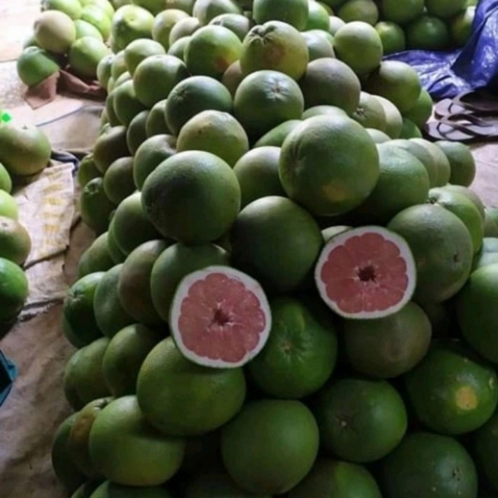 

Pamelo madu Butiran