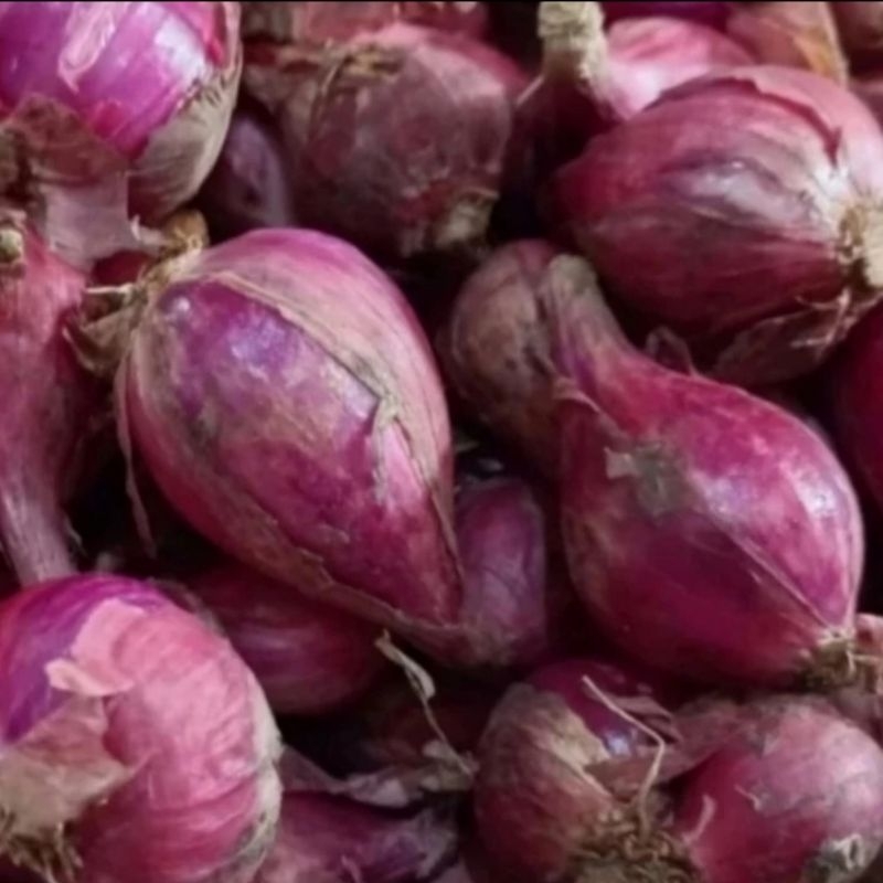

BAWANG MERAH BREBES BESAR 500 GRAM