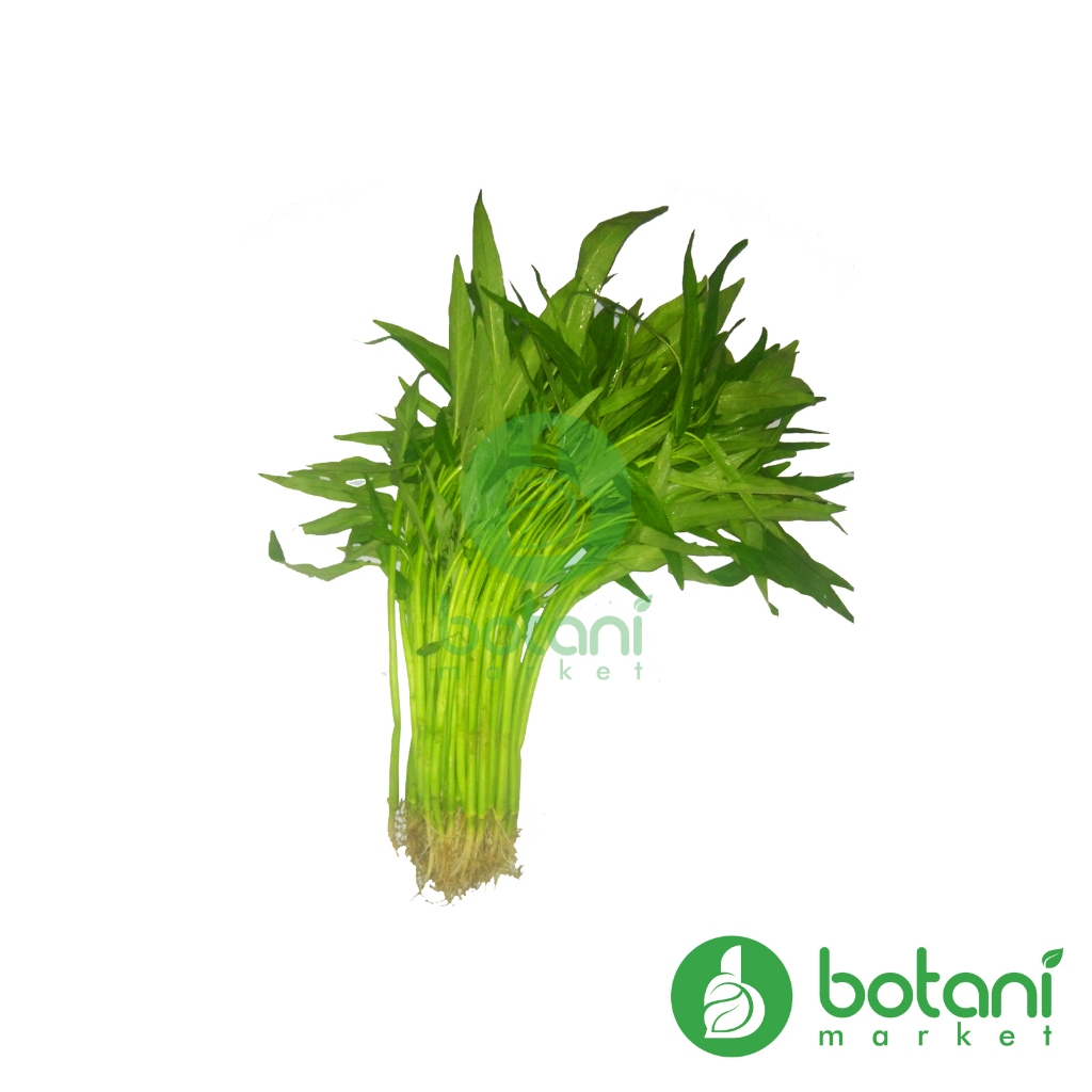 

Kangkung 1 Ikat [BJB - KALSEL] *INSTANT ALLOWED*