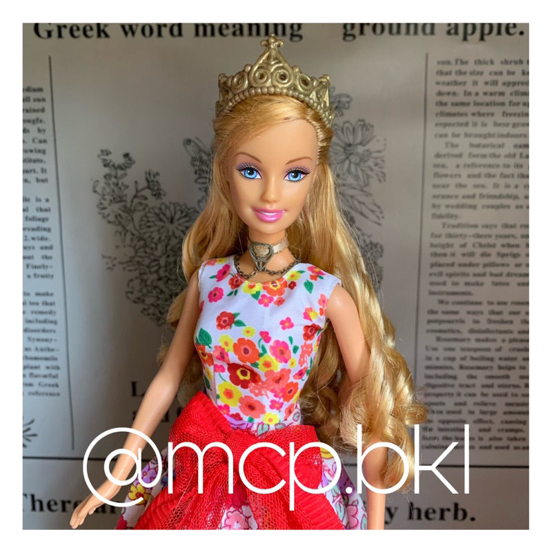 Barbie as Anneliese from Princess and the Pauper movie Preloved