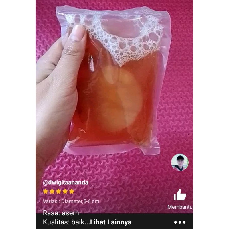 

Promo Hemat Bibit Scoby Kombucha Jamur Dipo Asli Original