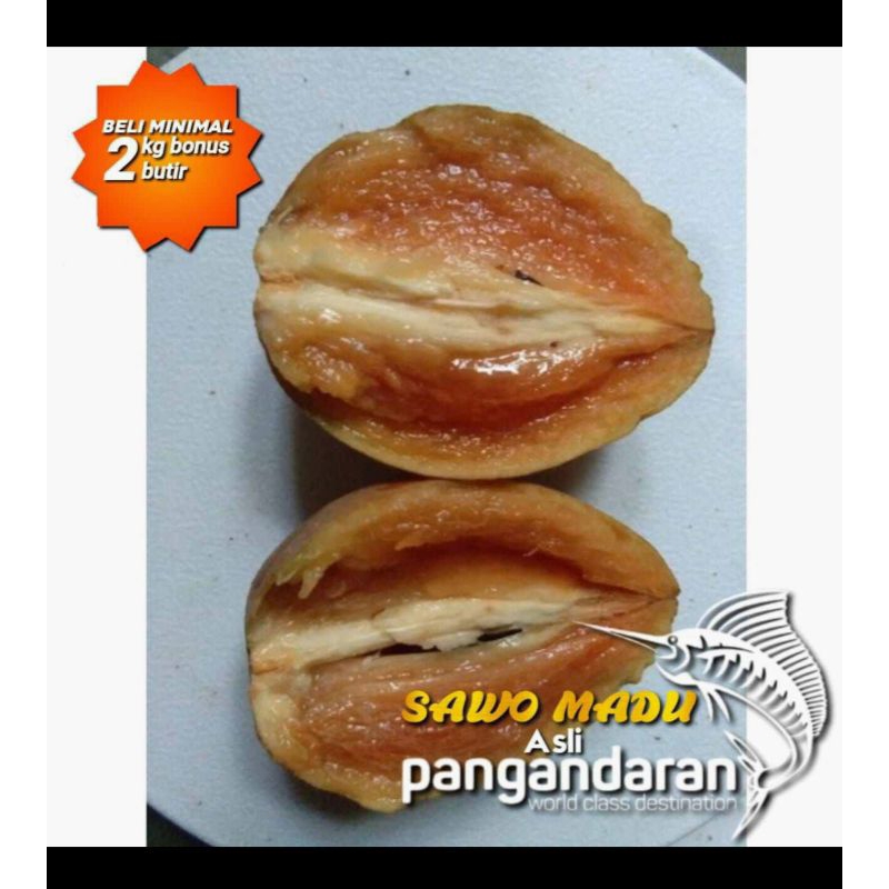 

Sawo Madu Asli Pangandaran