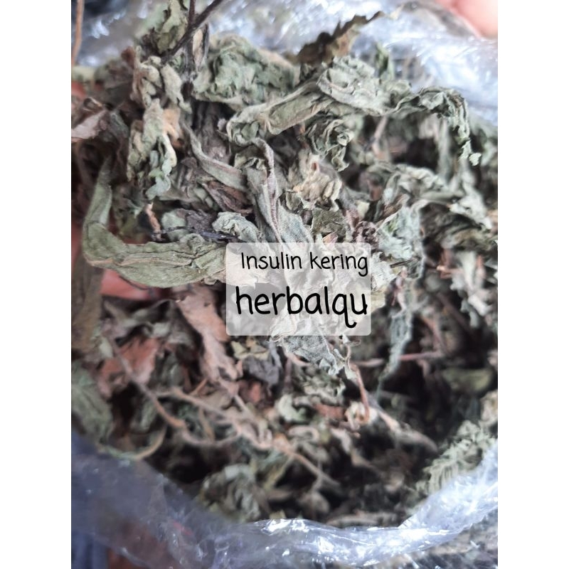 

Daun Insulin Kering 500 gram