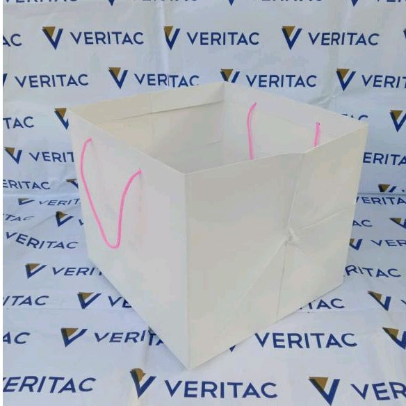 

Paper Bag Polos Putih, Paper Bag Kotak Nasi Box Size 22x22