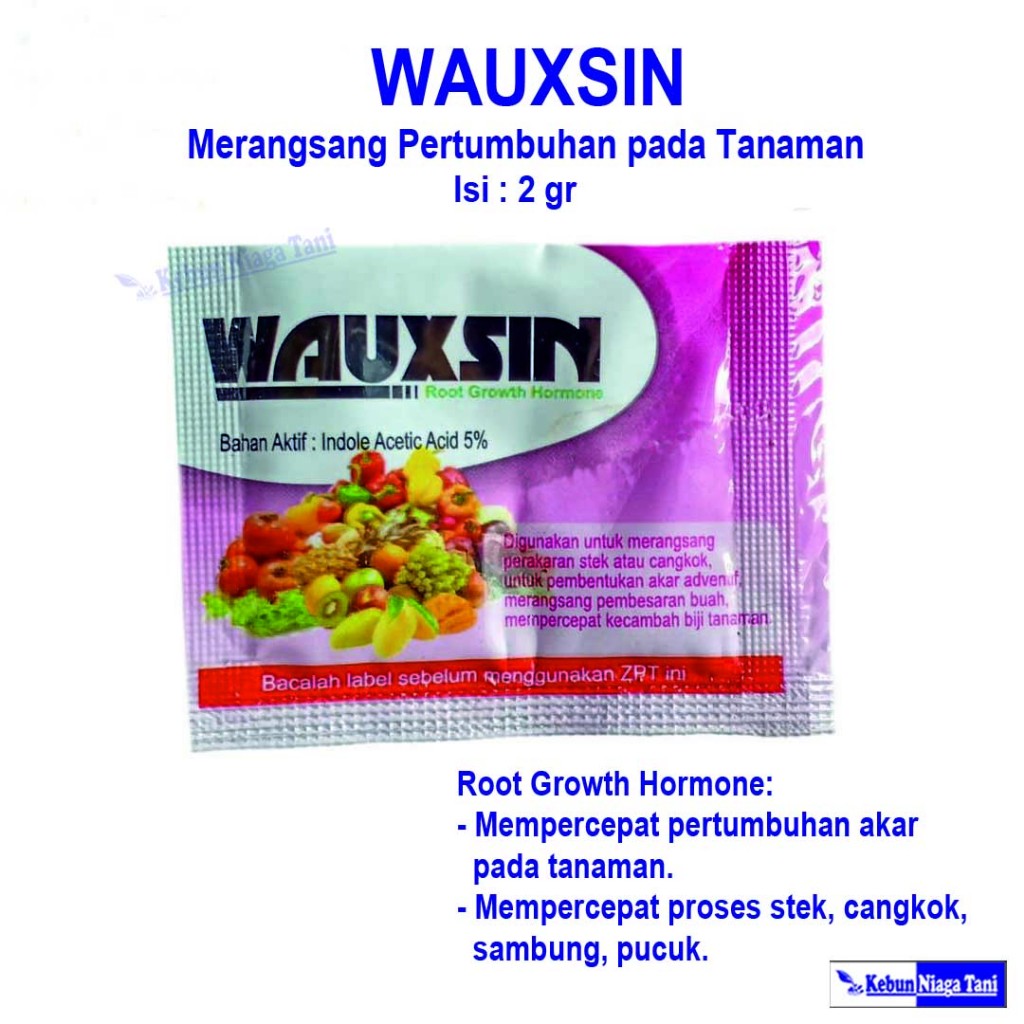 WAUXSIN - zpt akar hormon akar - zat penumbuh akar - zpt wauxin - hormon