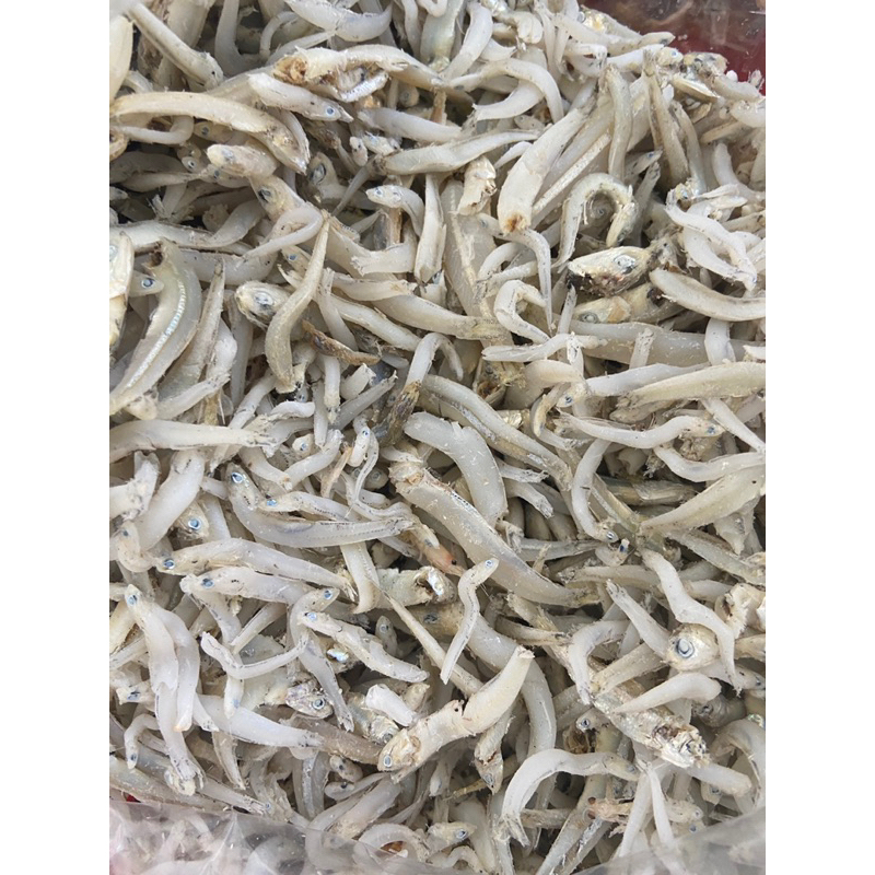 

Teri Nasi Fresh 50gr