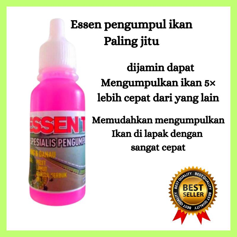 TERBAIK TERLARIS ESSEN PENGUMPUL IKAN DI LAPAK TARGET SEMUA JENIS IKAN AIR TAWAR ESEN IKAN MAS IKAN 