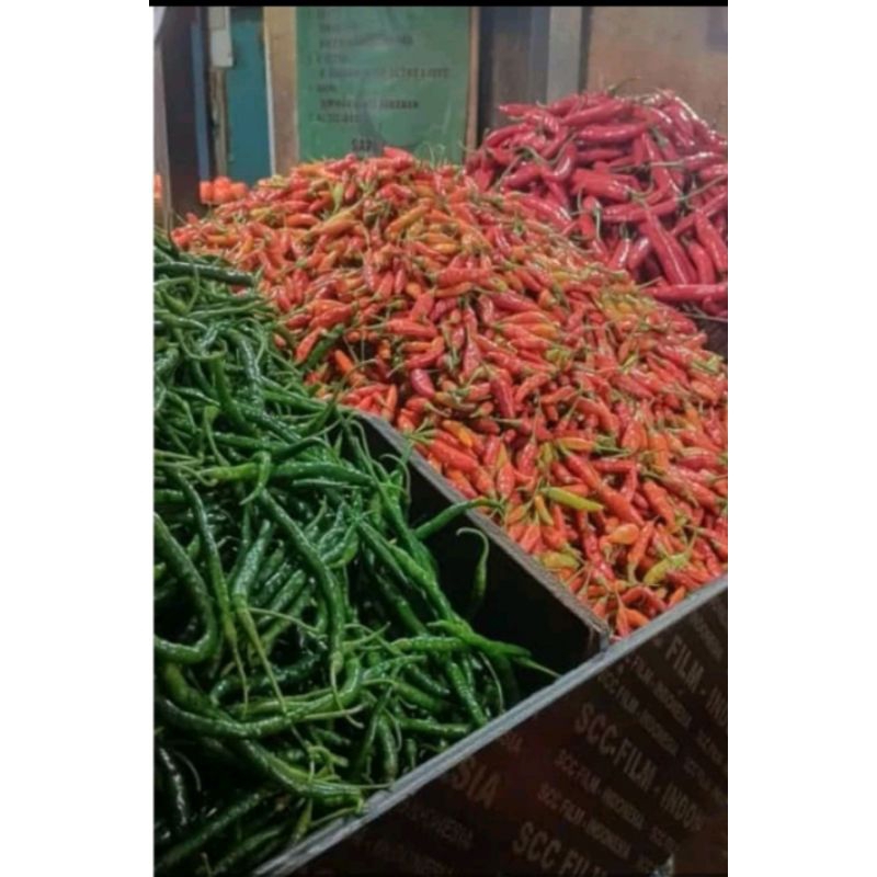 

cabe rawit merah 1kg