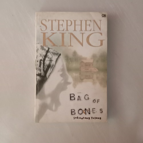 Novel Bag of Bones