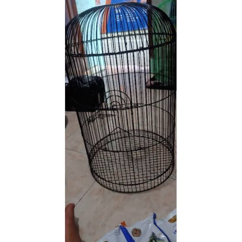 JERUJI LOVEBIRD BESI TEBAL