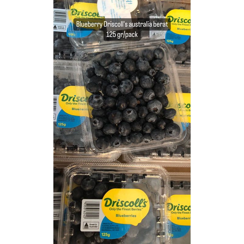 

Blueberry Driscoll's Australia Berat 125 gram /pack